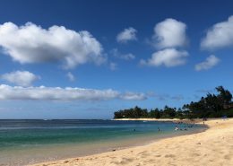 Hawaii Luxury Home market report July 2020