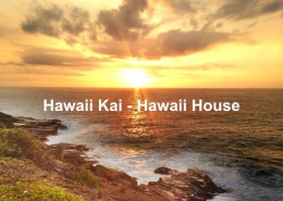 A house with a view or no view in Hawaii Kai?