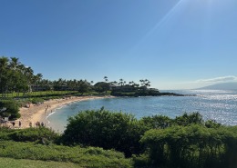 Maui Real Estate Market in September 2023: New Listings Surge and Pending Sales Decline